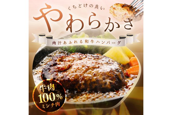 塩で食べるやわらかハンバーグ（デミグラスソース付）　NH00040