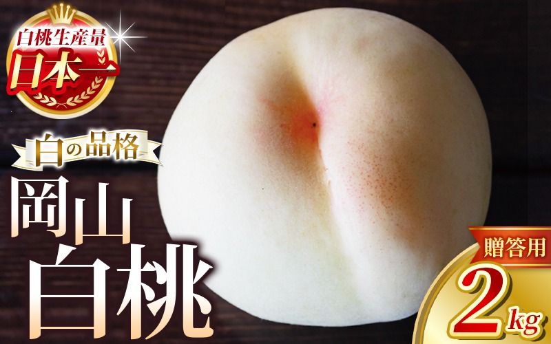 [2026年先行予約] 岡山白桃 2kg 化粧箱入り・贈答用 高級 白桃 花田青果[7月下旬〜9月下旬まで順次発送予定]/ 桃 もも モモ 果物フルーツ 贈答品 贈り物 岡山県[hnds001]