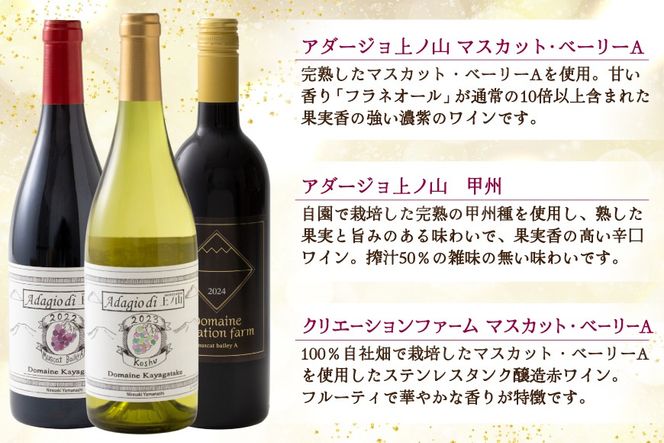 韮崎産 赤白スパークリング12本 お得な飲み比べセット 750ml ×11本 720ml ×1本 [株式会社まあめいく 山梨県 韮崎市 20745323] ワイン Wine わいん 赤ワイン 白ワイン 飲み比べ セット お酒 酒 山梨ワイン 甲州 スパークリング