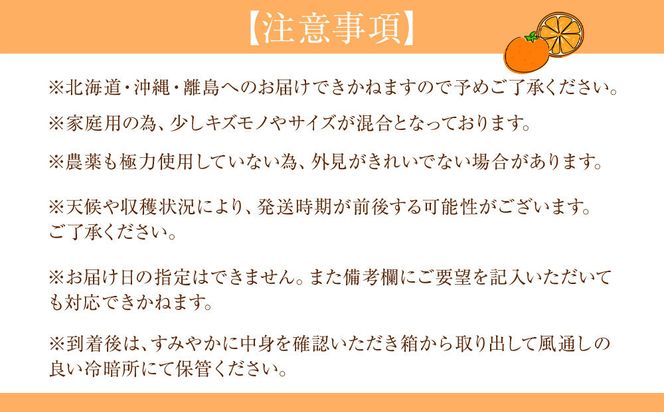 ［定期便］森本農園の手選別 柑橘定期便 家庭用 約1.5kg サイズ混合 和歌山県産 ［北海道・沖縄・離島配送不可］［2026年10月～2027年5月まで全8回お届け］ ［RN167］ 303446_DJ90167