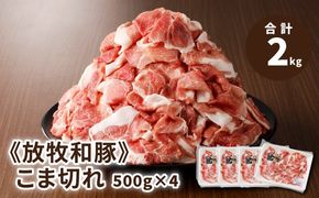 ≪放牧和豚≫　こま切れ 500g×4 【合計2kg】 K26_0024_1