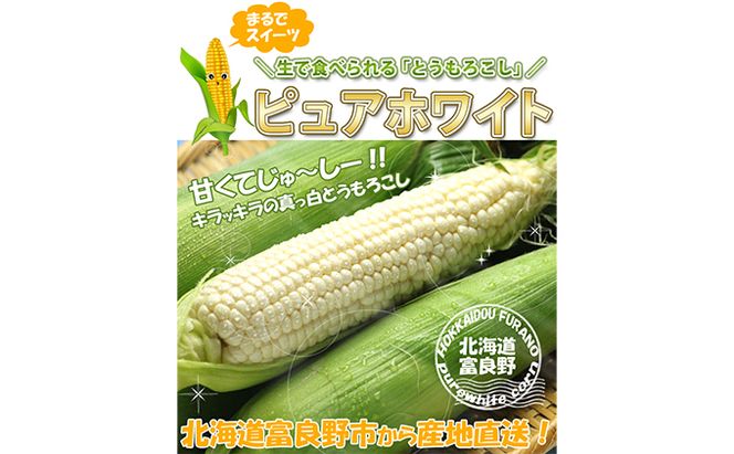 【2026年夏発送】とうもろこし ピュアホワイト 10本 L～2Lサイズ 富良野産 生で食べられる