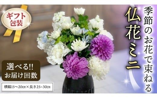 季節のお花で束ねる仏花ミニ 花 花束 仏花 生花 お供え 【 定期便 も選べる】 6回 12回 [CT023ci00]