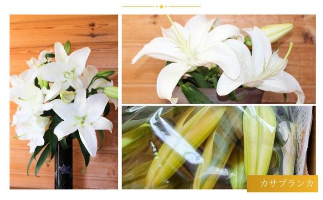 カサブランカ(規格外品)10本束(5本束×2) 花 お花 規格外 花束 切り花 新潟県 十日町市