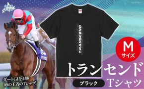 【トランセンド】Ｔシャツ 選べる４サイズ【M】 BRTV150-2
