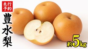 《 先行予約 》 茨城県産 梨 豊水 （約 5kg）【 2026年 9月上旬頃より発送開始 】 梨 なし 果物 フルーツ 新鮮 旬 期間限定 甘い 国産 [CK002us]