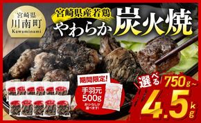 ※発送月・内容量が選べる※ 宮崎県産若鳥 やわらか炭火焼 750g～4500g 【1650gのみ手羽元500gあり・なしが選べる】【 鶏 肉 鶏肉 国産 とり 九州産 鳥 宮崎県産 小分け 炭火焼き 】 [C00901 C00903-6]