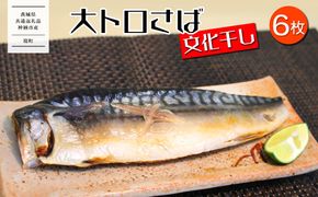 K2587 【茨城県共通返礼品/神栖市】大トロ さば 文化干し 1枚真空×6パック 魚 さば サバ 鯖  真空パック 化粧箱 冷凍 一夜干し