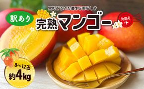 訳ありマンゴー４kg【熱帯資源植物研究所】