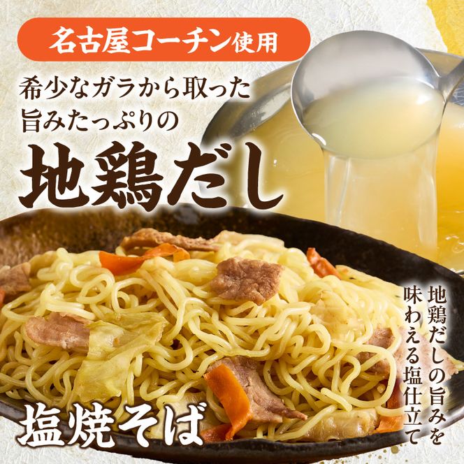 食べ比べセット 名古屋コーチン使用 鶏だし 焼そば 焼うどん 和風パスタ 調理麺 詰め合わせ 冷凍惣菜 ご当地グルメ 簡単調理 麺類セット 家庭用 12食 小牧市 送料無料［181C04］
