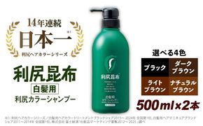 【2本入】［白髪用］ 利尻カラーシャンプー 大容量サイズ 糸島市 / 株式会社ピュール ヘアケア シャンプー [AZA066] シャンプー 白髪染め カラーシャンプー 無添加 ノンシリコン 大容量