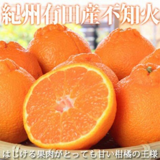 〈定期便〉【2・4・6・8・10・12月 全6回】和歌山産 旬のフルーツ お楽しみ 定期便 【魚鶴】◆｜不知火 清見 スイカ 桃 みかん フルーツ ふるーつ 果物 くだもの 詰め合わせ 果物定期便 オレンジ もも かき 国産 産地直送 美浜町