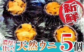 日豊海岸どれ 延岡産 天然ウニ（5個）　N014-YZB529