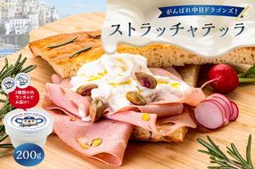 がんばれ中日ドラゴンズ！ストラッチャテッラ1個【中日ドラゴンズコラボ】【0073-087】