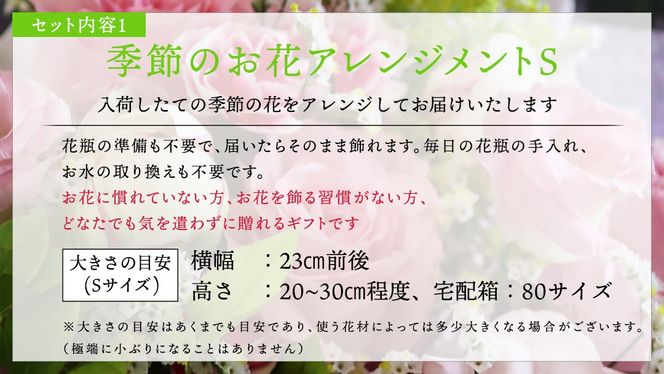【 筑西市 ふるさと納税限定 コラボ 】 《 季節のお花アレンジメントS 》《 笑来餅 2個 セット（白2個） 》 アレンジメント 生花 ギフト プレゼント 誕生日 記念日 敬老 餅 もち もち米 [ZZ047ci]