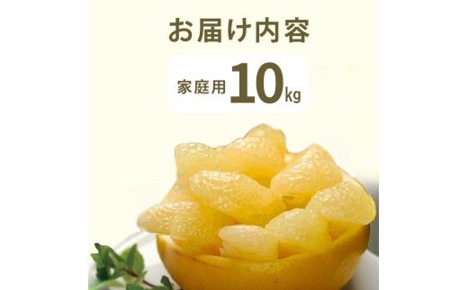 【先行予約】　文旦 約10kg 10キロ L～4Lサイズ〈2027年2月上旬から順次発送〉 土佐文旦 みかん 柑橘 ぶんたん ブンタン 果物 フルーツ デザート おやつ 三愛果樹園の土佐文旦 おいしい 美味しい【三愛果樹園】[BQAO013]