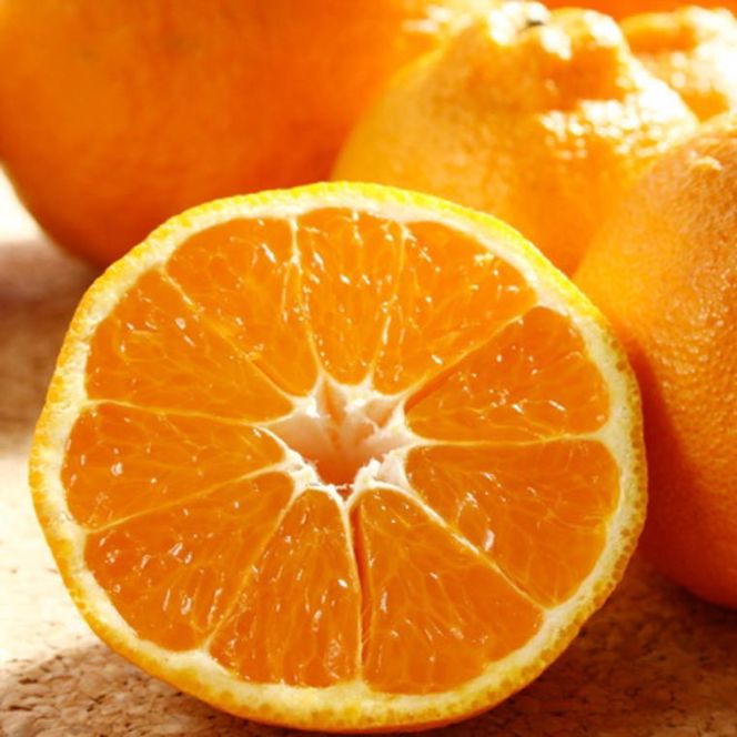 ZD6117n_【濃厚】有田の 不知火 約5kg（12玉～20玉おまかせ）【でこぽん デコポン しらぬい 不知火 柑橘】