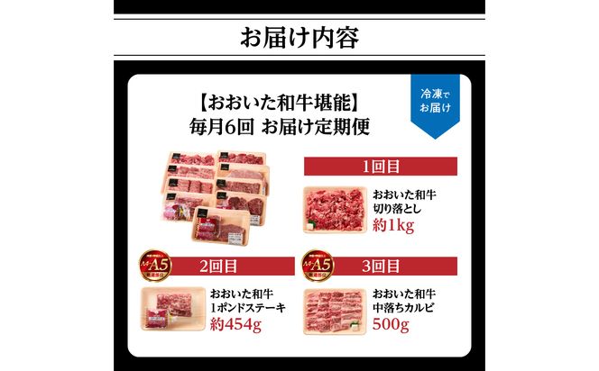 【T10099】【毎月配送】【おおいた和牛堪能】毎月6回お届け定期便