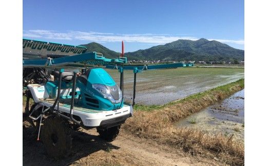 コシヒカリ 精米5kg 亀熊米 令和7年産 【茨城県共通返礼品　桜川市産】 ｜ 茨城県産 白米 米 コメ ※離島への配送不可