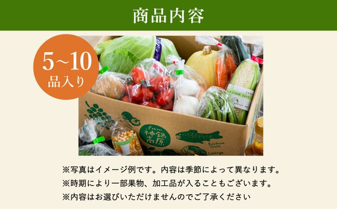 「高原の畑から直送」神鍋高原 季節の新鮮お野菜 詰め合わせセット 充実の5～10品｜ベジタブル＆フルーツアドバイザーがセレクト【兵庫県北部豊岡市にある「道の駅神鍋高原」からお届けします】