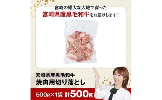 【数量限定】宮崎県産黒毛和牛　焼肉用切り落とし500g 【 牛肉 国産 宮崎県産 宮崎牛 BBQ 】[D11303]