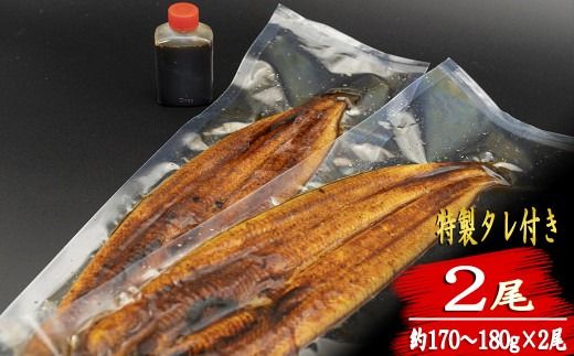 【高知満喫定期便】厳選!!藁焼きかつおのタタキ 2節と高知県産うなぎの蒲焼き 2尾セット×3回定期便 かつお タタキ うなぎ 蒲焼き 高知名物 ふるさと納税 返礼品 定期便 藁焼き 特製ポン酢 清流 職人 手作り グルメ 味覚 旬 鰹 鰻 うなぎのタレ 高知県 特産品 名産 魚 海鮮 家庭用 ギフト 贈答用 お取り寄せ 安芸市 高知県