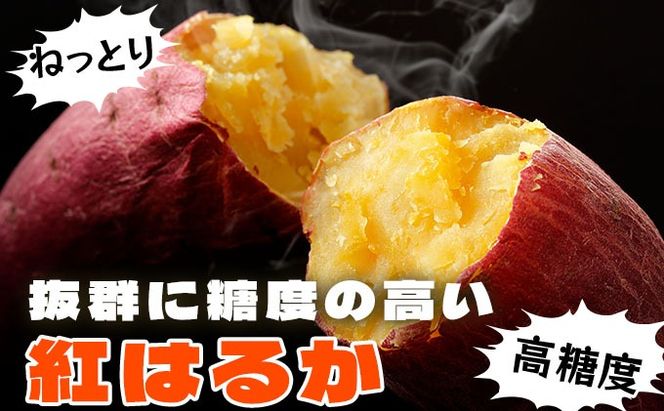 北海道 伊達 さつまいも 紅はるか 5kg 熟成 高糖度 サツマイモ 芋 甘い スイートヤバ芋 産地直送