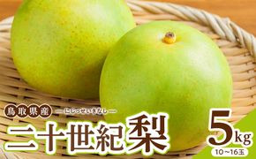 1262.【2026年度発送先行予約】数量限定　二十世紀梨　5kg 313726_CS005