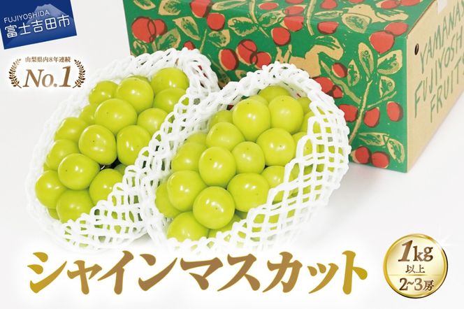 【2026年発送 先行予約】ジューシーで甘さ抜群 厳選シャインマスカット1kg以上　 数量限定 期間限定 シャインマスカット ぶどう シャイン フルーツ 果物 山梨 富士吉田