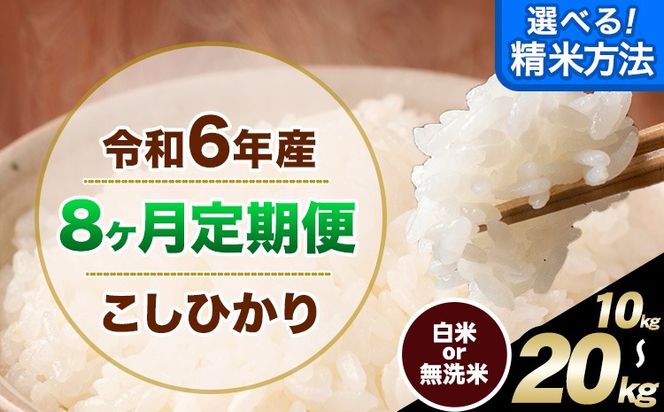 【8ヶ月定期便】令和6年産 無洗米 も 選べる 定期便 こしひかり 白米 or 無洗米 選べる精米方法 定期便 内容量 10kg15kg 20kg 白米 精米 無洗米 熊本県産(南阿蘇村産含む) 単一原料米 南阿蘇村《申込み翌月から発送》---kh6tei_176000_10kg_mo8_mna_h---