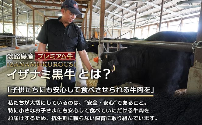 淡路島産プレミアム牛 イザナミ黒牛ホルモンミックス 1kg（500g×2パック）