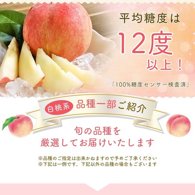 【先行予約】朝もぎ直送！ 「  桃 白桃 系 」 5～8玉 約2kg規格箱入り【高機能共選機使用】【先行予約】 選び抜かれた 桃 山梨県産 モモ 白桃 フルーツ 果物 くだもの 人気 産地直送 厳選 贈答 贈り物 甘い 予約 [注目]【tab0097】