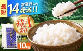 令和7年産　福岡県　元気つくし　10kg（5kg×2袋）《築上町》【カネガエ】[ABFA005]