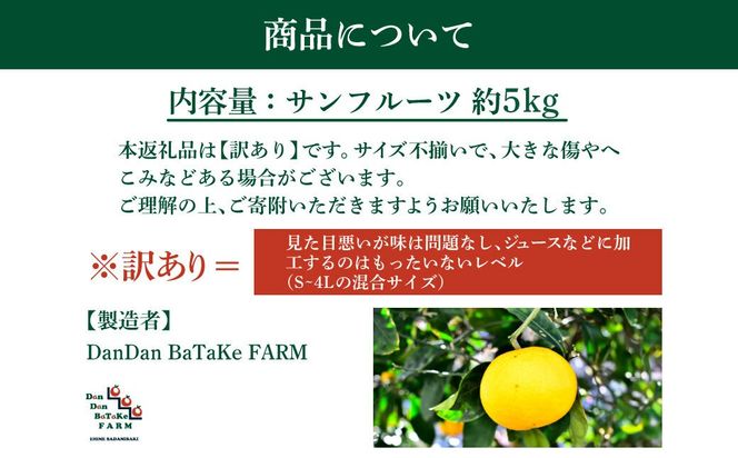 先行予約】【訳あり】新甘夏 サンフルーツ 約5kg |柑橘 みかん 果物 フルーツ 愛媛県産 西宇和産 農家直送 ※離島への配送不可　※2027年3月中旬より順次発送予定 IKTAU017