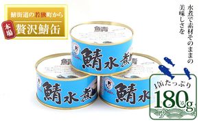 若狭の鯖缶 3缶 セット 水煮 若狭の鯖水煮缶詰 鯖の水煮 水煮缶 水煮缶詰 サバ缶 鯖缶 さば缶 さばの缶詰 鯖の缶詰 サバ 鯖 さば 缶詰 缶詰め 魚 お魚 魚介 魚介類 惣菜 水産加工 加工品 福井 福井県 若狭町