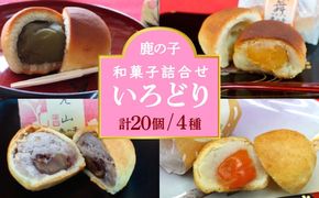【老舗の菓子屋 鹿の子】和菓子 詰め合わせ「いろどり」4種 20個《築上町》【有限会社 御菓子司 鹿の子】[ABAC013]