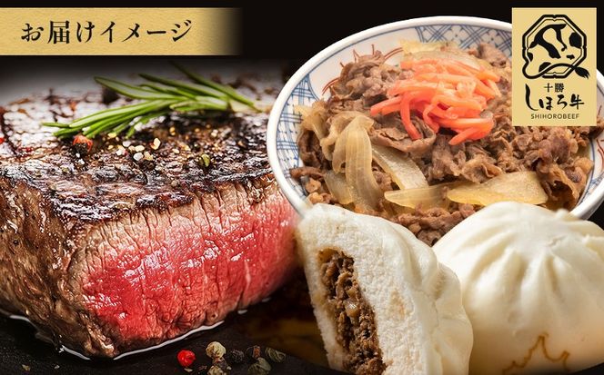 【CF2】定期便 北海道 道の駅スタッフセット 全5回 しほろ牛 サーロイン 切り落とし 牛丼 ハンバーグ コンビーフ カムカムステーキ ソーセージ ジンギスカン 肉まん 焼売 ポテト コロッケ アイス ピア21しほろ 送料無料 十勝 士幌町 100000円【L905】