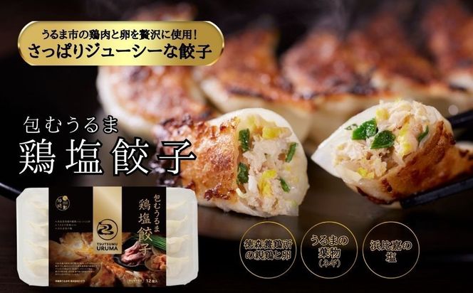 【ふるさと納税】包むうるま餃子 4種セット（島餃子・鶏塩餃子・チャンプルー餃子・車海老餃子）　 餃子　豚肉　ゴーヤー　車海老　沖縄　中華