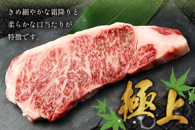AK024 長崎和牛 サーロイン ステーキ 250g 2パック 計500g [ 牛肉 肉 和牛 ステーキ ロース サーロインステーキ BBQ バーベキュー 焼肉 アウトドア 長崎県 島原市 ]