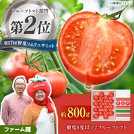 【先行予約】 全国第2位受賞 / 糖度8度以上 高知県土佐市の濃厚フルーツトマト約800g / トマト一筋28年の農家が育てた自慢の味〈2027年1月下旬から順次発送〉フルーツトマト ふるーつとまと とまと トマト 甘い 濃厚 美味しい 箱入り 野菜 料理 サラダ お取り寄せグルメ 高知県 土佐市【ファーム輝】 [BQBM002]