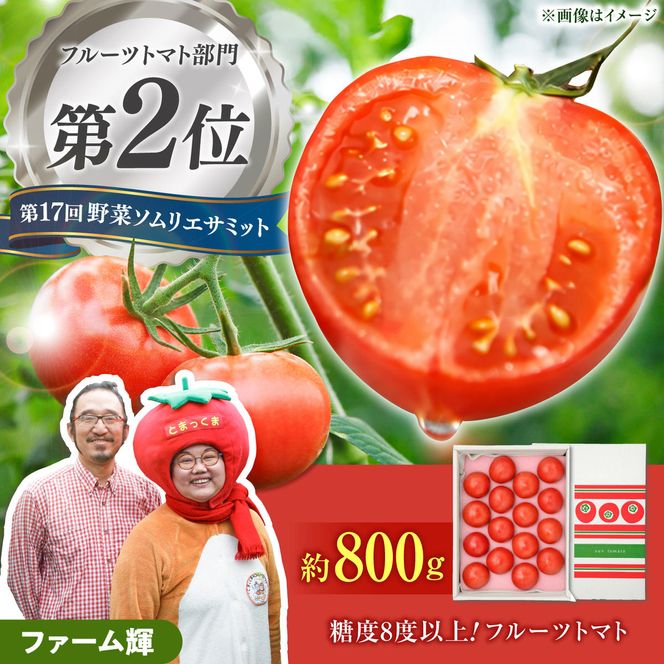【先行予約】 全国第2位受賞 / 糖度8度以上 高知県土佐市の濃厚フルーツトマト約800g / トマト一筋28年の農家が育てた自慢の味〈2027年1月下旬から順次発送〉フルーツトマト ふるーつとまと とまと トマト 甘い 濃厚 美味しい 箱入り 野菜 料理 サラダ お取り寄せグルメ 高知県 土佐市【ファーム輝】 [BQBM002]