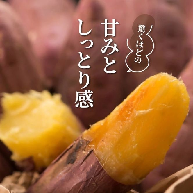 【先行予約】さつまいも 甘太くん 5kg 大分県産 M～2L _2291R