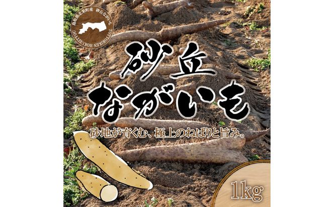 1112.砂丘ながいも1kg 313726_CL001