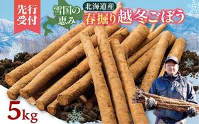 先行受付！2026年4月頃～発送開始！北海道十勝清水町産 春堀り 新鮮 越冬ごぼう！ 5kg 北海道産 ごぼう 土付ごぼう ゴボウ 根菜_S045-0001