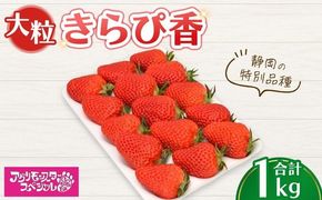 大粒 きらぴ香 静岡の特別品種 500g×トレー2枚 計1kg ｜ いちご 苺 果物 静岡県 ※2026年1月上旬～4月中旬頃に順次発送予定 ※北海道・沖縄・離島への配送不可