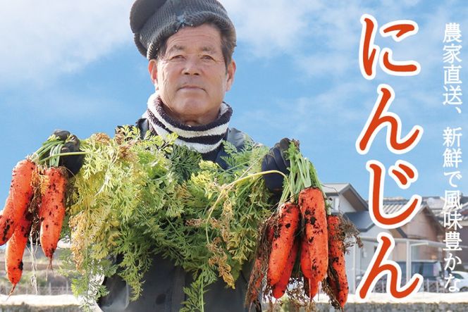 BI210 じゃがいも ＆ 人参 セット ( ながさき黄金＆冬人参 ) 約 10kg [ 野菜 野菜セット 詰め合わせ ジャガイモ にんじん ニンジン 10キロ 黄金 贅沢宝庫 長崎県 島原市 ]