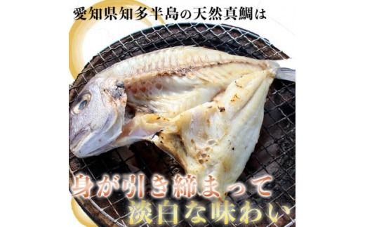 岬だよりの大人気 天然真鯛の干物　10枚セット