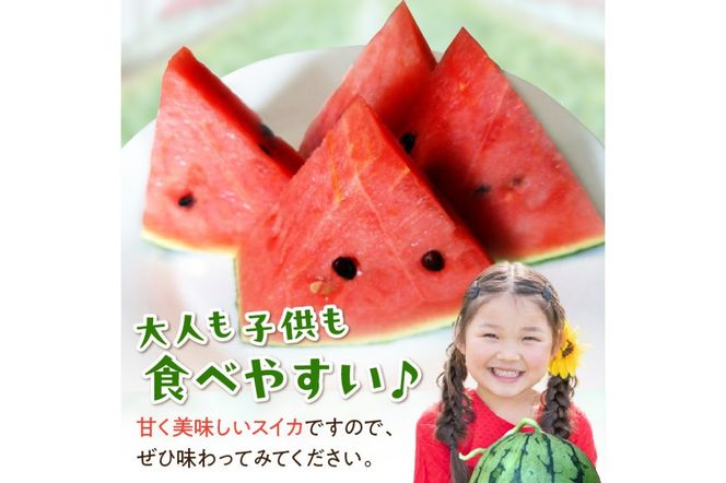 【先行予約／数量限定100】にしまるスイカ 訳あり 1玉入り（露地栽培）（2025年7月中旬から発送）　FR00014