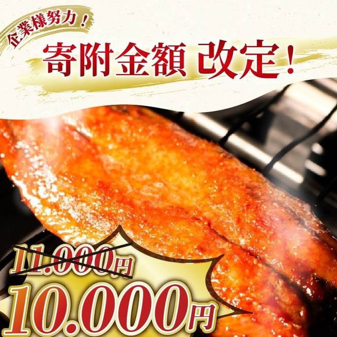 y茧Dnsz|hT}̊ (3×4)  q ̊   ydairiki029z