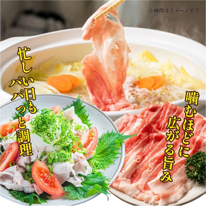 【定期便全3回】主婦の味方定期便(豚バラスライス 豚ロースとんかつ 豚モモウデ切り落とし ロースしゃぶしゃぶ 国産 九州産)